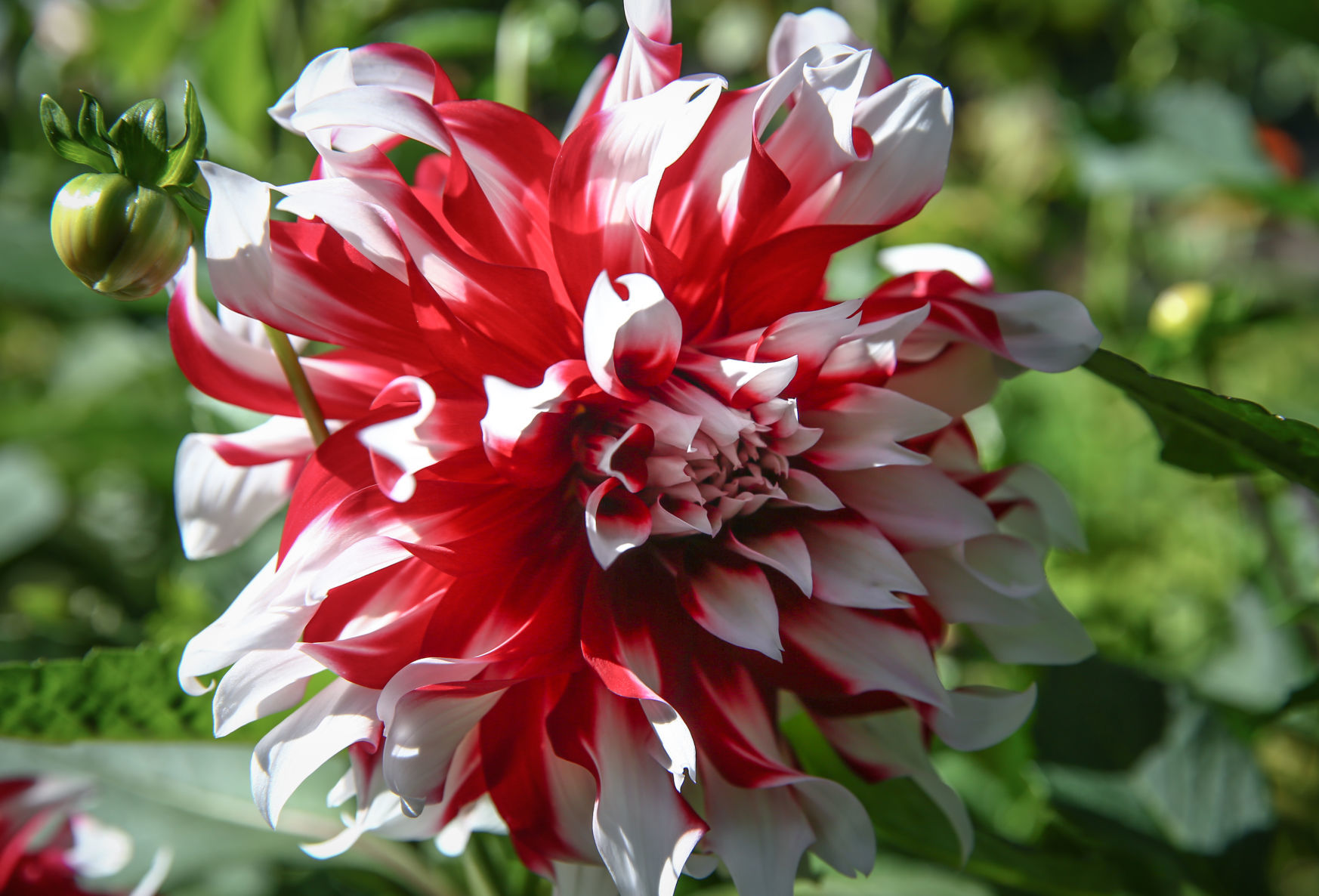 East Park Gardens (13).jpg